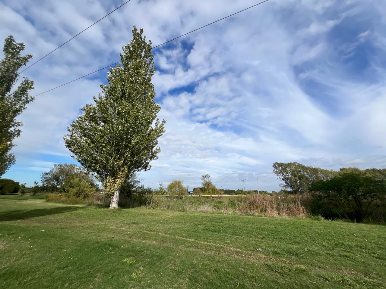 Lote en Venta – Acceso a Lobos - Image 2